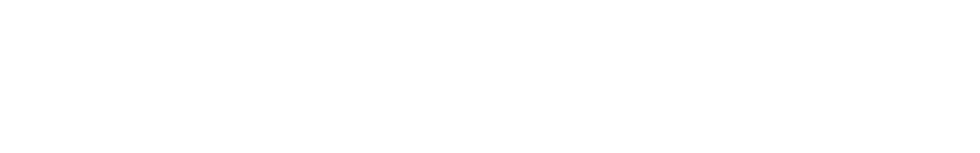DarkStore Logo